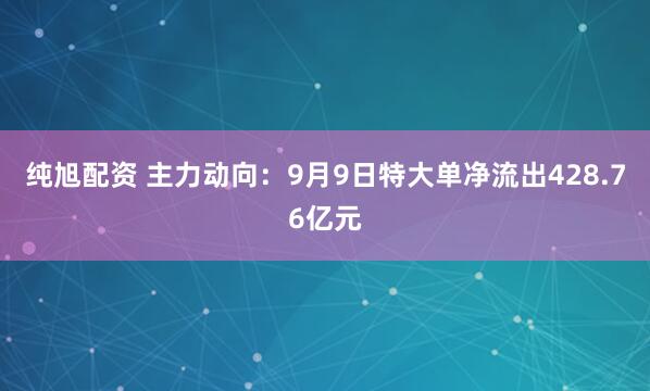 纯旭配资 主力动向：9月9日特大单净流出428.76亿元