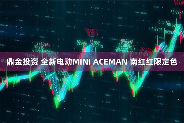 鼎金投资 全新电动MINI ACEMAN 南红红限定色