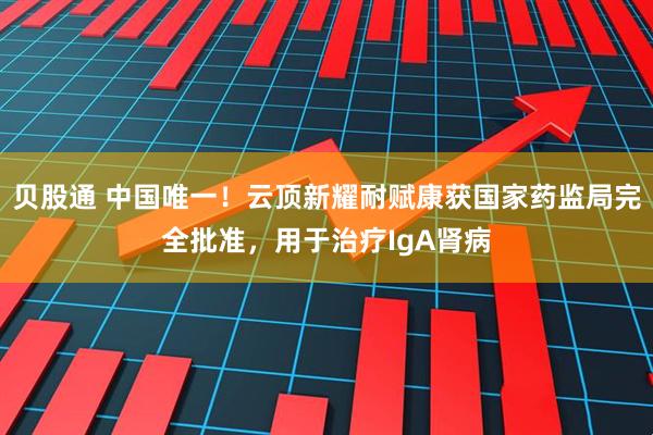 贝股通 中国唯一！云顶新耀耐赋康获国家药监局完全批准，用于治疗IgA肾病