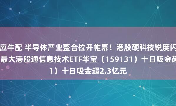 应牛配 半导体产业整合拉开帷幕！港股硬科技锐度闪耀，规模最大港股通信息技术ETF华宝（159131）十日吸金超2.3亿元